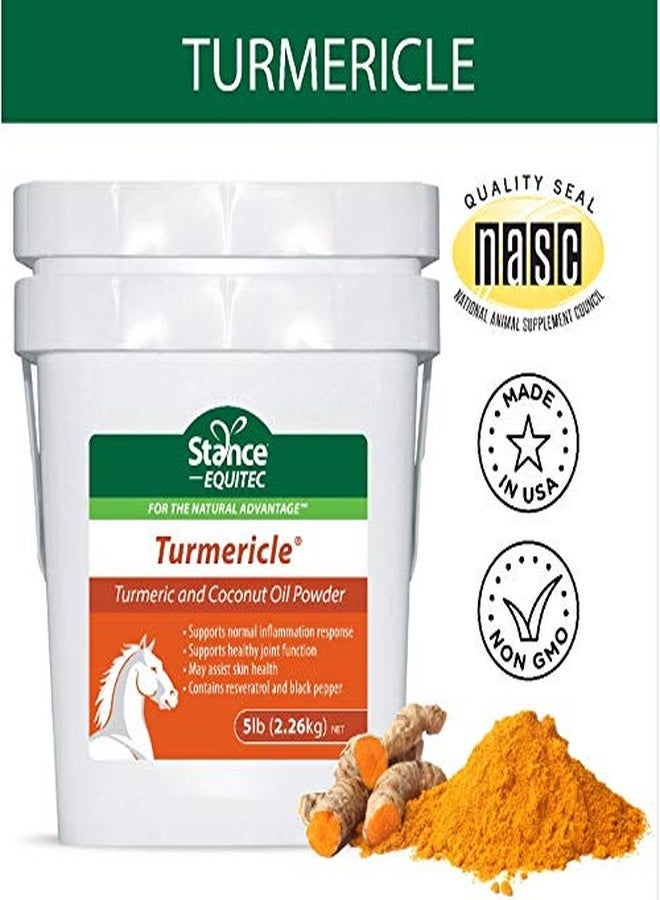 Stance Natural Turmeric Powder for Horses with Powdered Coconut Oil Equitec Turmericle Anti-Inflamatory Horse Supplement for Healthy Hip & Joint Function - Normal Skin Health (5) - Image 2
